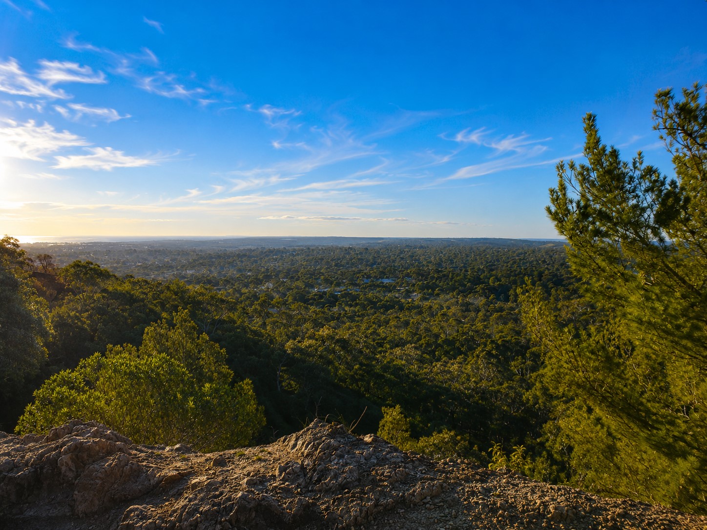 Tea Tree Gully Image 0