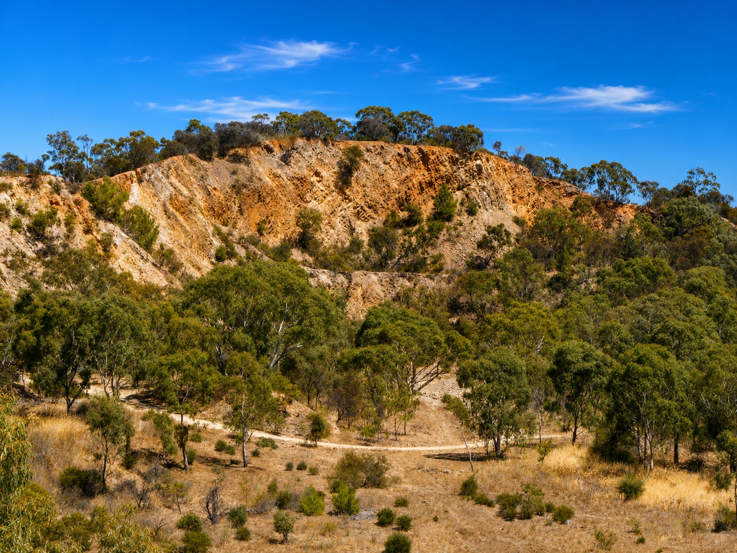 Tea Tree Gully Image 3
