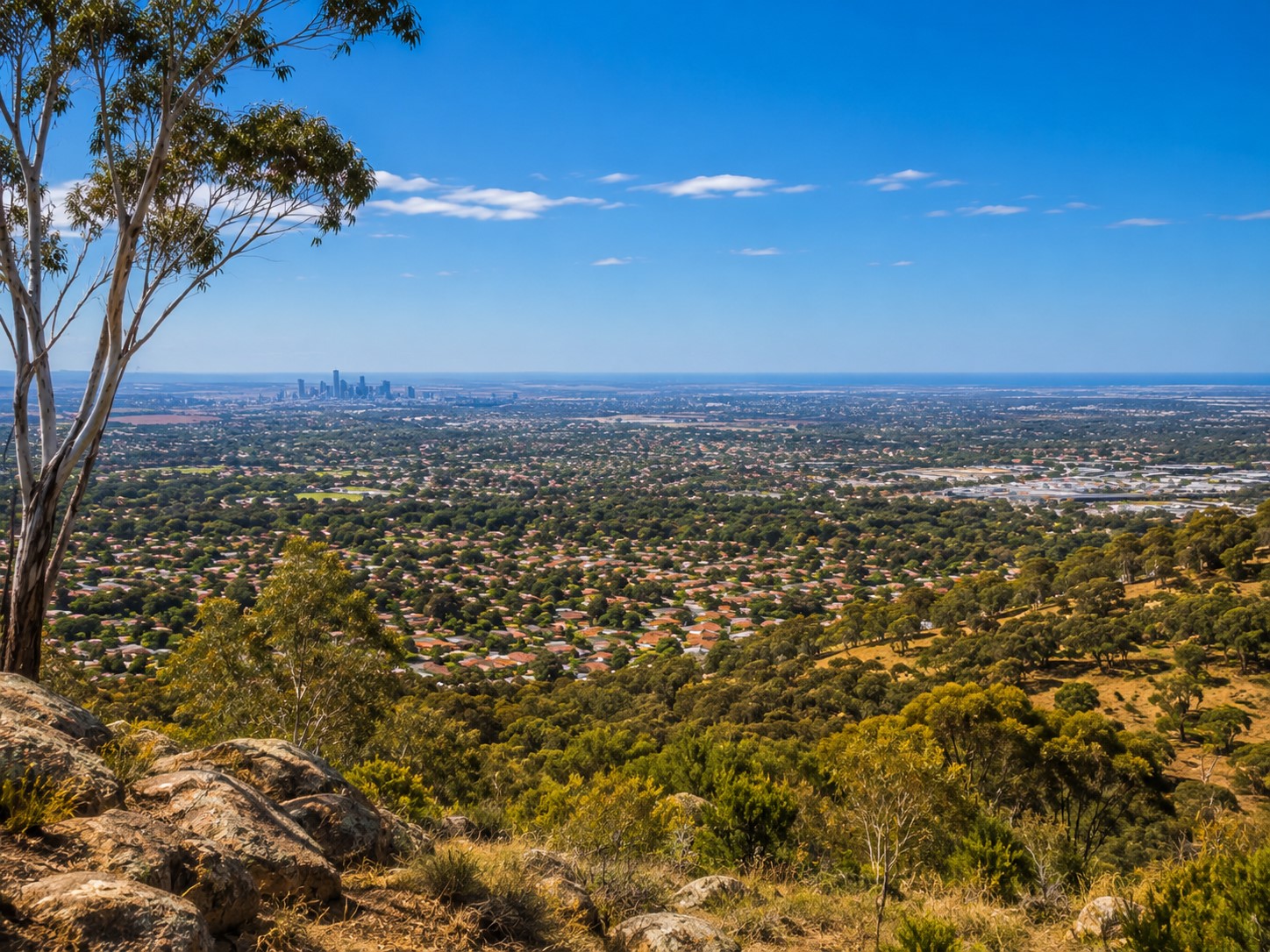 Tea Tree Gully Image 1
